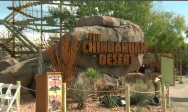 El Paso Zoo Chihuahuan Desert