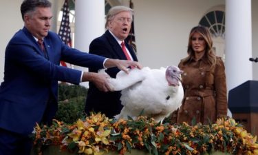 Trump pardons Turkey