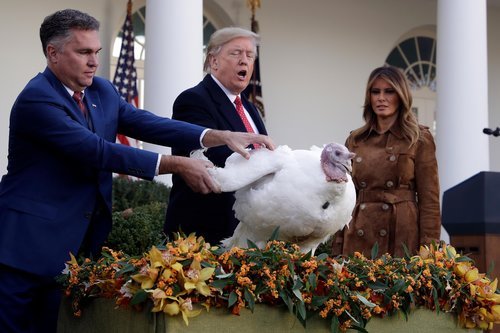 Trump pardons Turkey