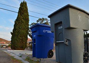 Trash and recycling bins sit out curbside for pickup.