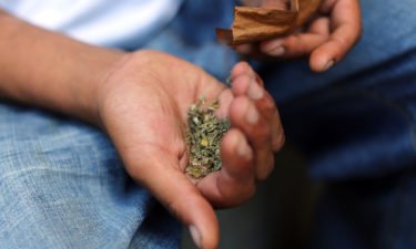 marijuana in man's hand