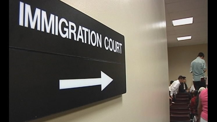 People appear for immigration court hearings.