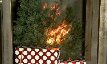 Christmas Tree Fires