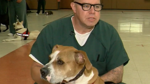 A New Mexico prison inmate cares for a Las Cruces shelter dog.