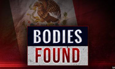 Mexico bodies found