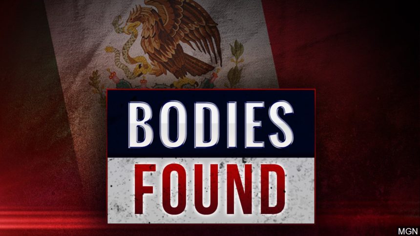 Mexico bodies found