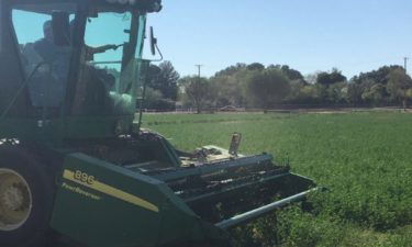 students harvest alfalfa on farm