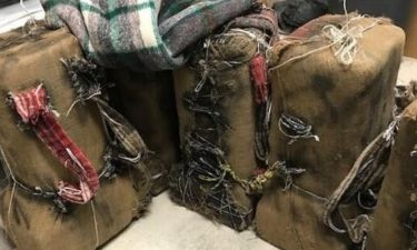 burlap sacks of marijuana