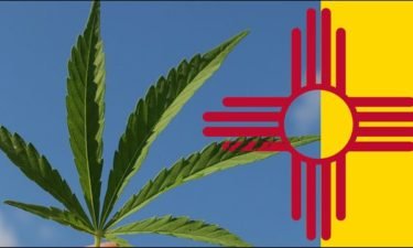 marijuana-new-mexico