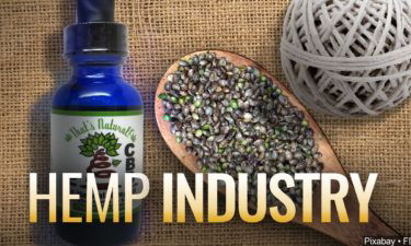 hemp industry