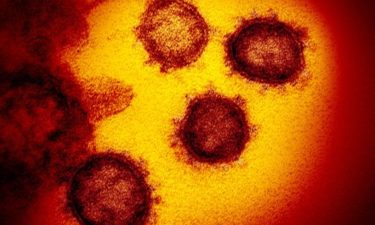 coronavirus