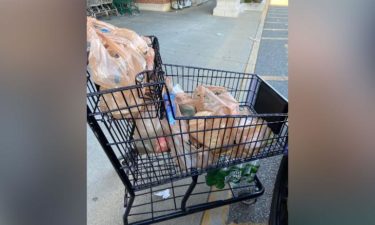 shopping cart groceries