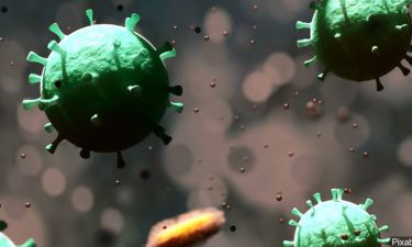 coronavirus illustration