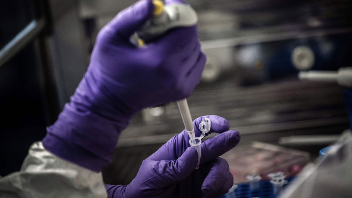 A scientist is at work in a laboratory conducting coronavirus testing. 