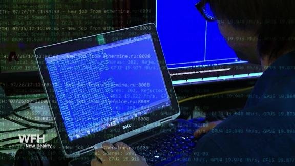A professional coder does work in a cybersecurity role.