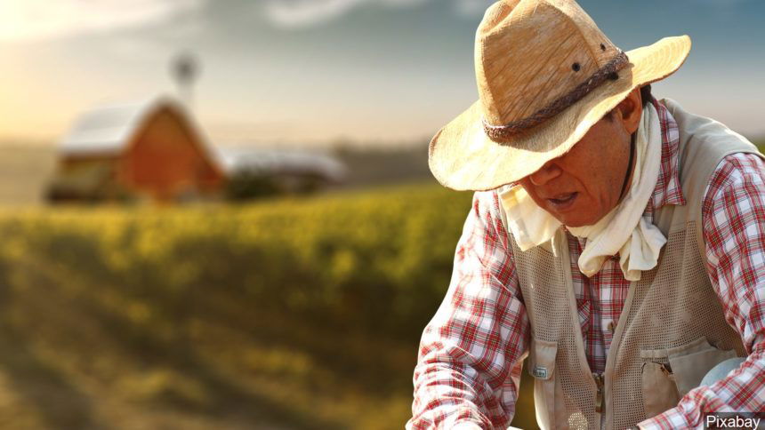 migrant farm worker