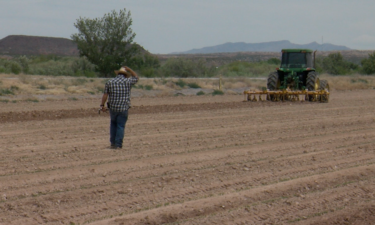 sergio grajeda chile farmer