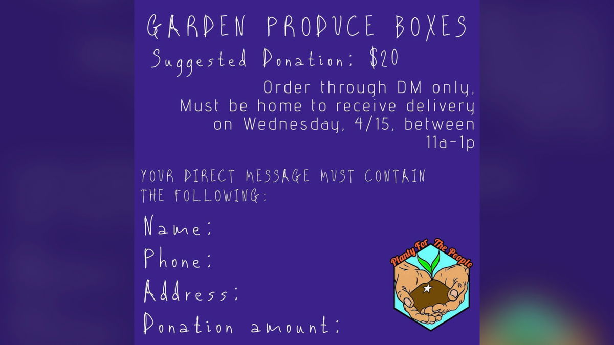 One Grub Community's garden boxes offering.