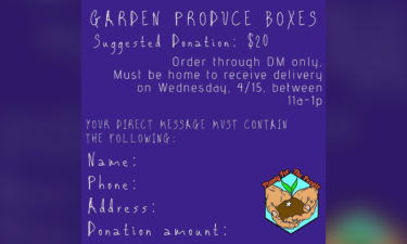 garden boxes