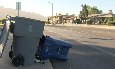 trash and recycling bins