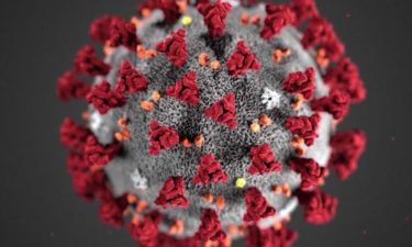 covid-19-coronavirus