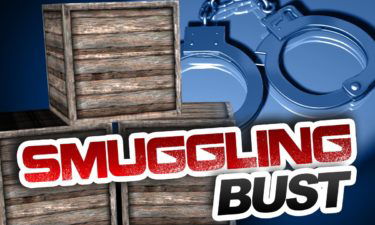 smuggling bust