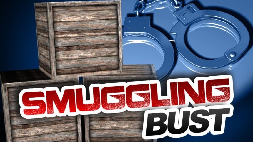 smuggling bust