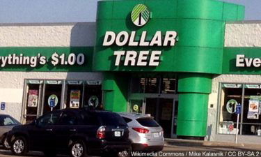 Dollar Tree store