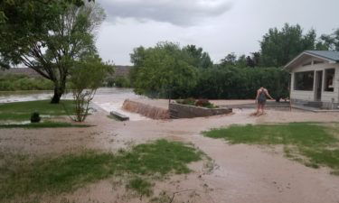 T-or-C-flooding