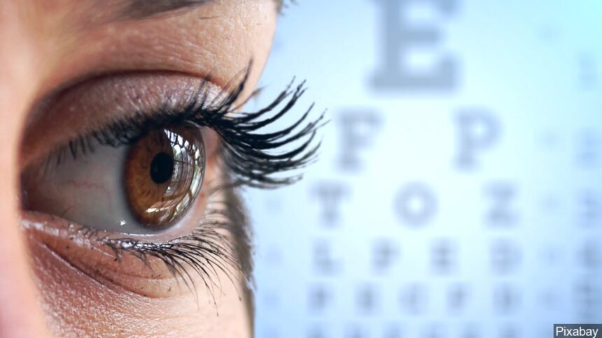 eye care vision