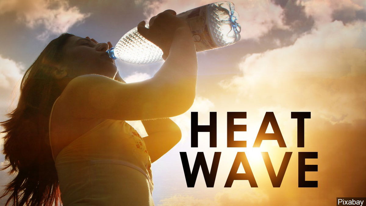 Heat. The Heatwave. Heatwave (2011). Heat Waves обложка. Heat Waves группа.