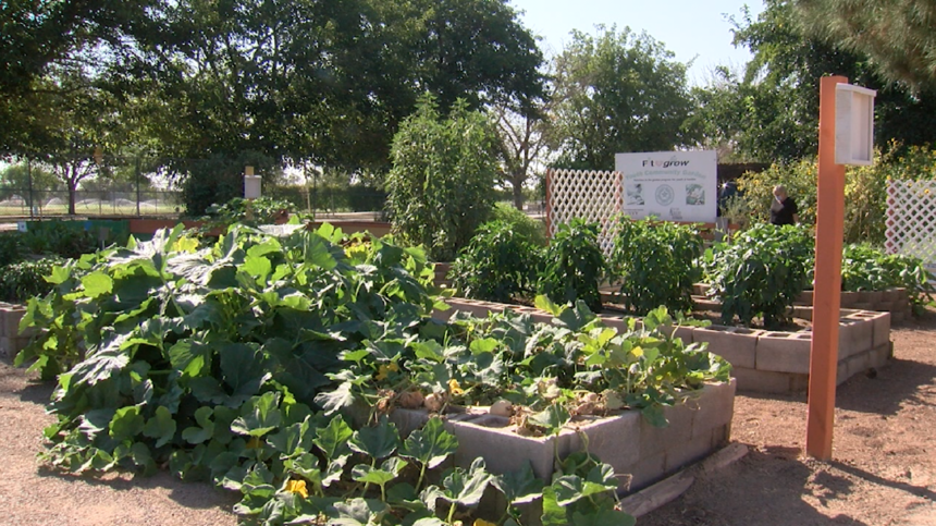 Ascarate community garden