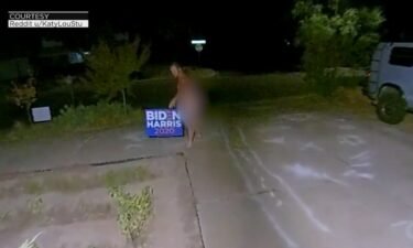 Naked_campaign_sign_thief