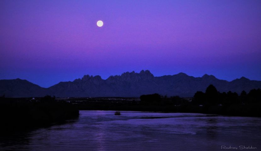 Rodney Sheldon 10220 Harvest Moon