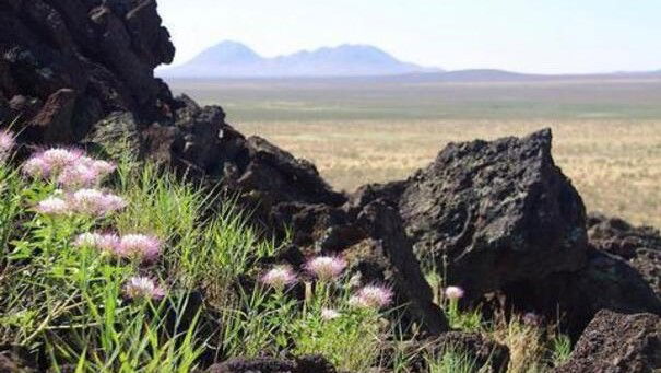 aden-lava-flow-wilderness-area