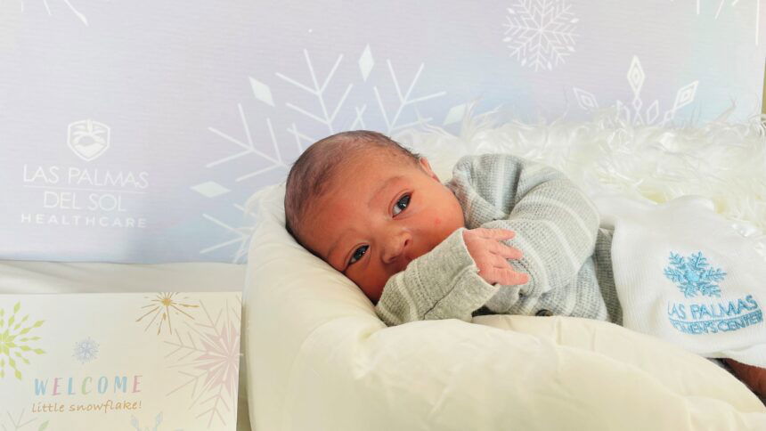 Newborn snowflake 2