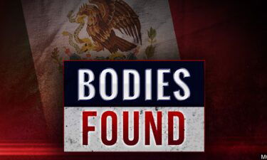 mexico bodies found