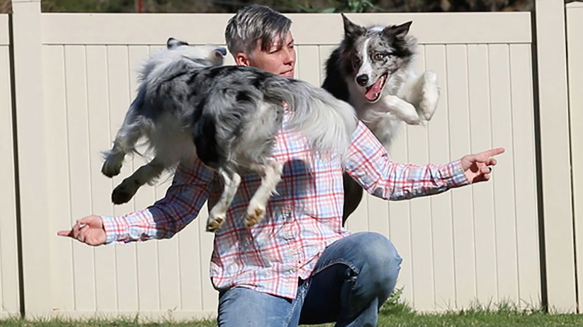 Emily Larlham and her dogs, Wish and Halo, achieved the Guinness World Records title for the most tricks performed by two dogs in one minute.