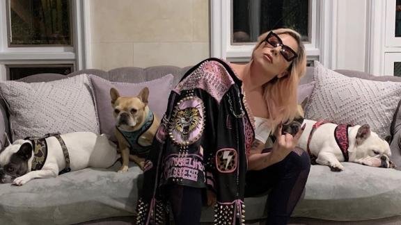 Lady Gaga with her dogs.