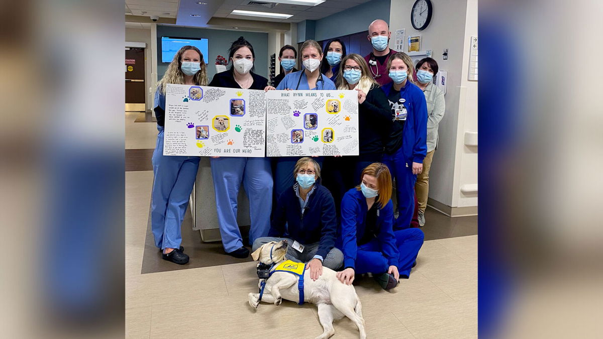 Staff members at the Rose Medical Center in Colorado with their special friend Wynn.