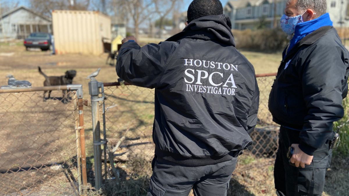 SPCA investigators look into animal cruelty cases in Houston.