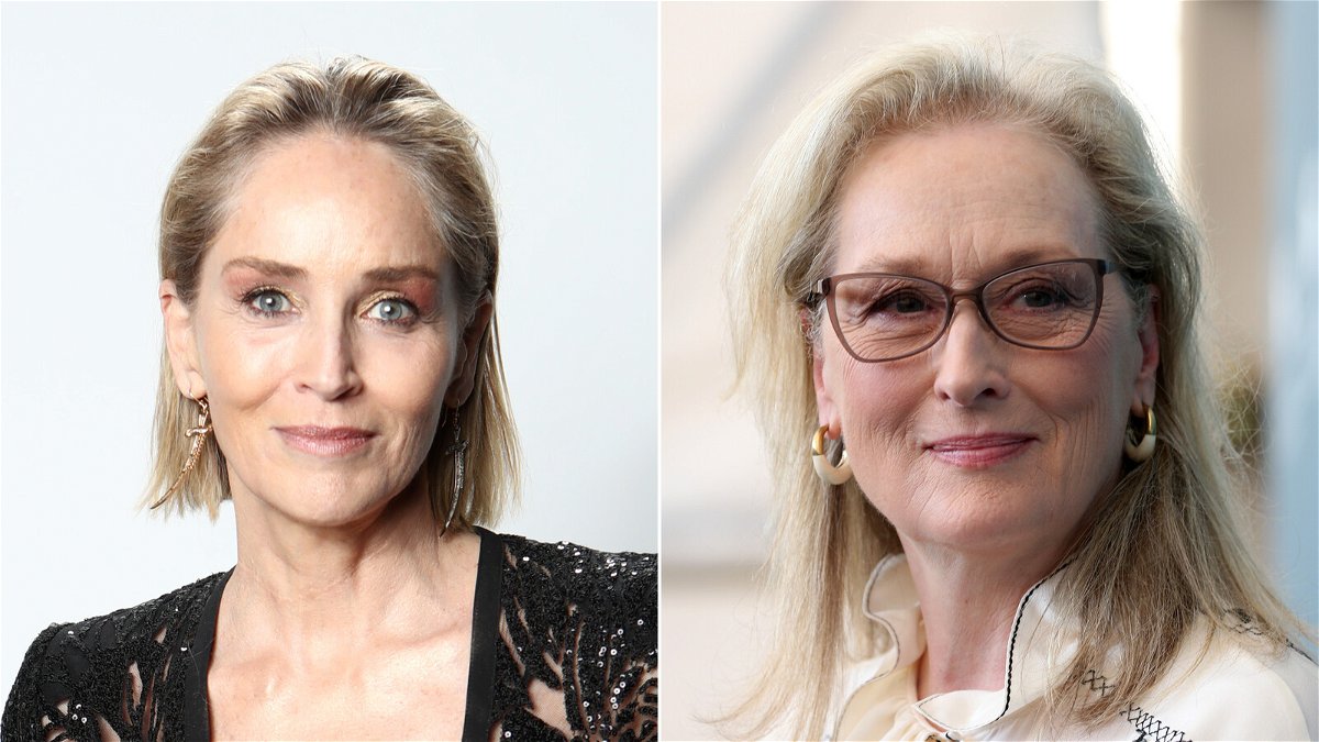 Sharon Stone Meryl Streep