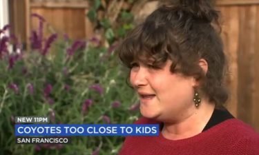 Laila O'Boyle was at Golden Gate Park with her young children when she said a coyote came uncomfortably close to her family.