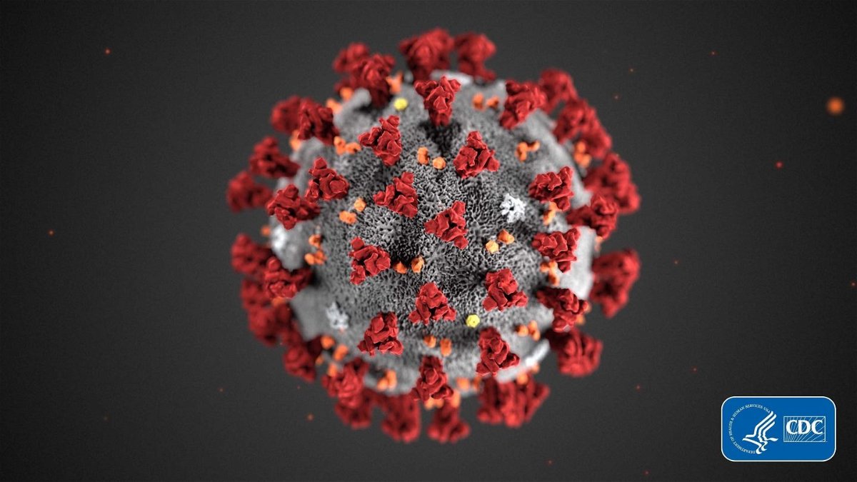 <i>CDC</i><br/>The CDC's model of the coronavirus is shown. The CDC recommends that schools have one full-time nurse for every 750 students.