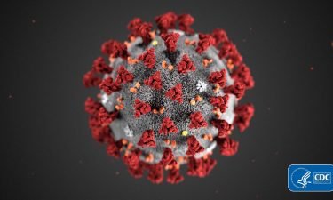 The CDC's model of the coronavirus is shown. The CDC recommends that schools have one full-time nurse for every 750 students.