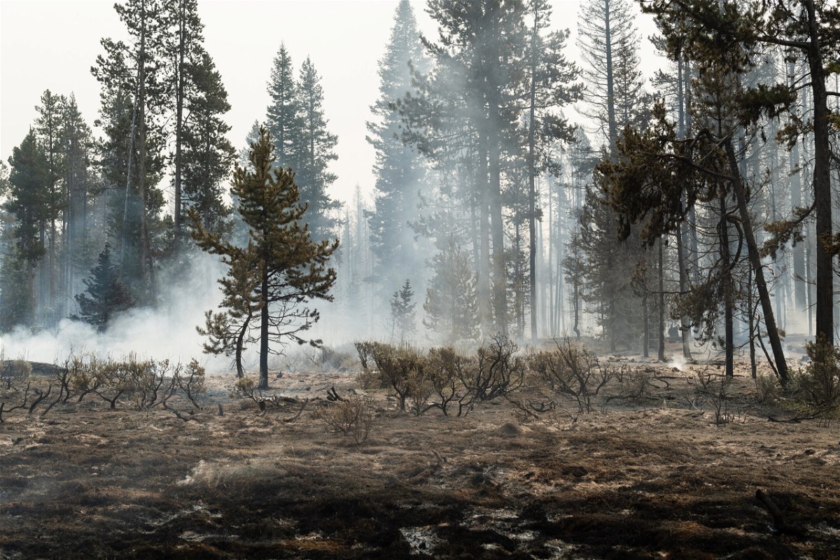 <i>Mathieu Lewis-Rolland/Getty Images</i><br/>Forest undergrowth smolders on the north front of the Bootleg Fire on July 23 near Silver Creek