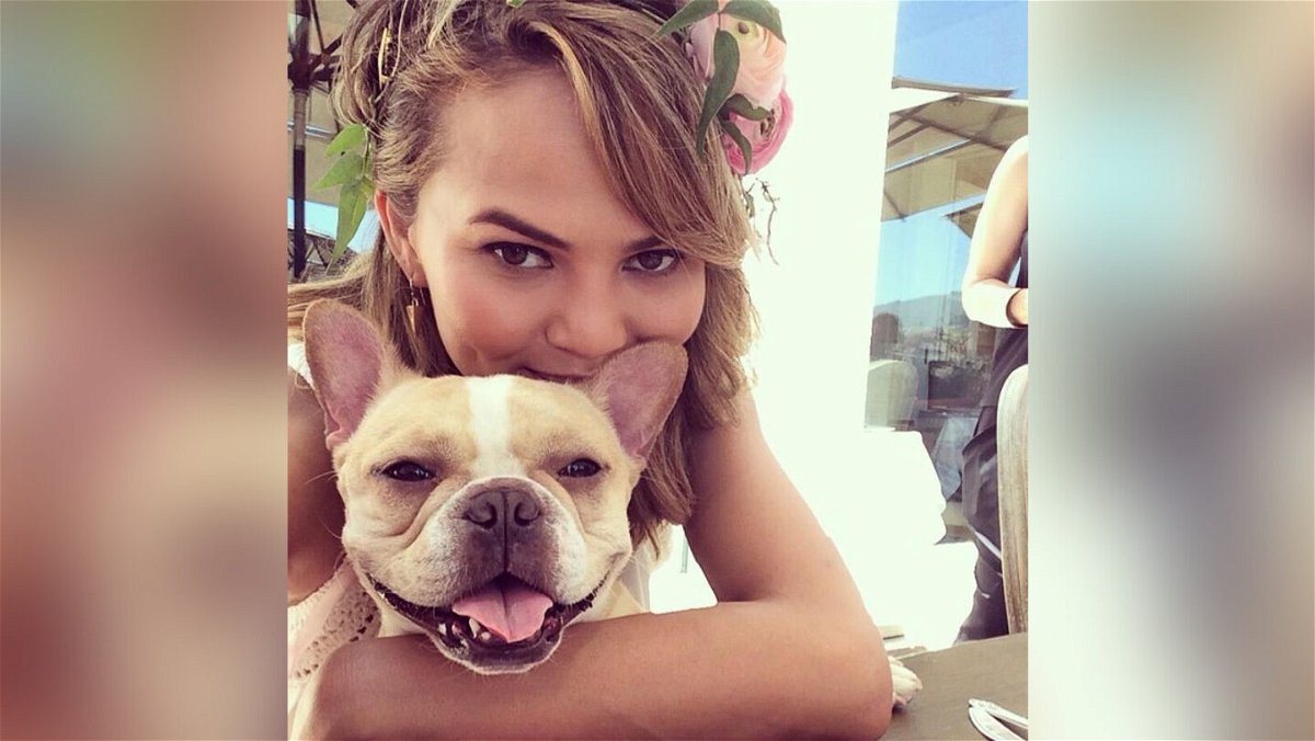 <i>Chrissy Teigen/Instagram</i><br/>Chrissy Teigen has revealed her family's pet dog Pippa has died after 10 years.