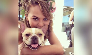Chrissy Teigen has revealed her family's pet dog Pippa has died after 10 years.