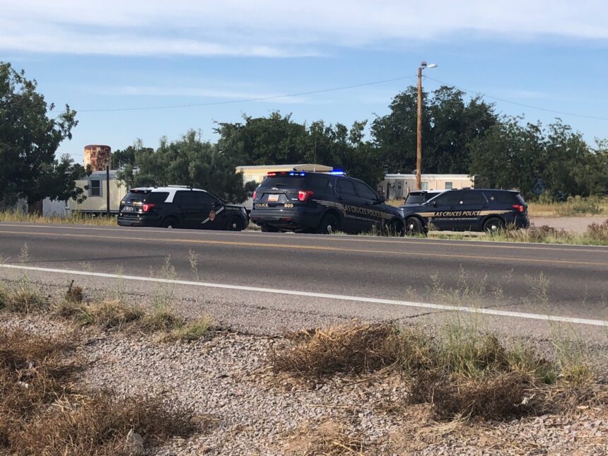 Woman arrested after police chase from El Paso to Las Cruces - KVIA