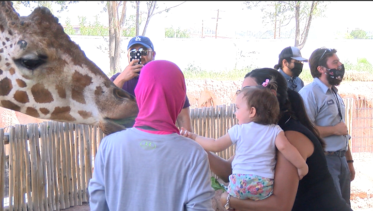 A woman holds her toddler as she feeds a giraffe at the El Paso Zoo.